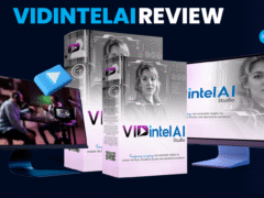 VidintelAI Review